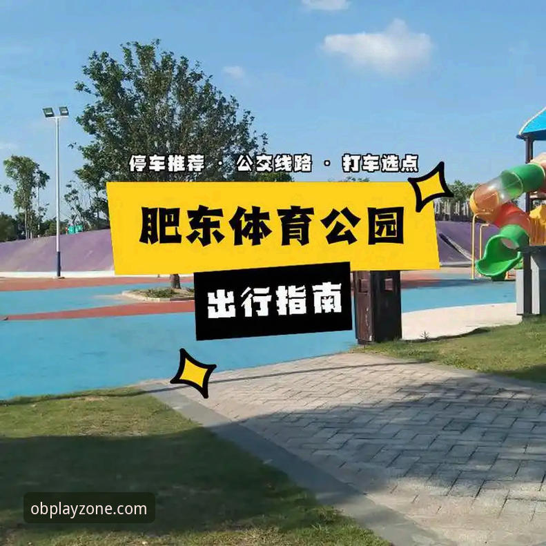 OB体育平台登录入口详解：从下载到使用的完整指南